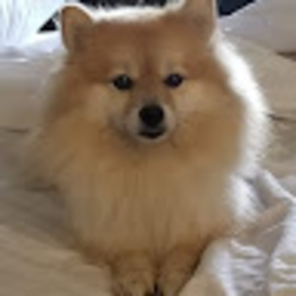 ellenwegner7
